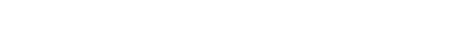 Bassmaker™ Stereo logo
